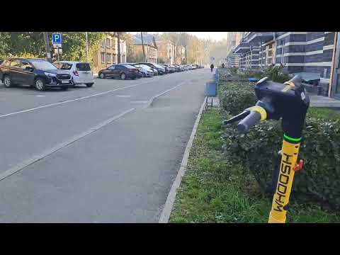 Видео: 01.10.2025. Посёлок Песочный. Моя любовь навсегда ❤️.