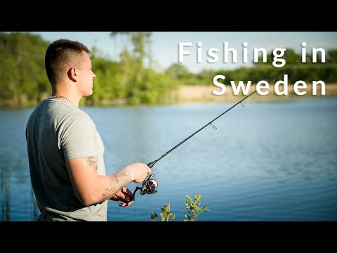 Видео: Правила рыбалки в Швеции | Fishing rules in Sweden