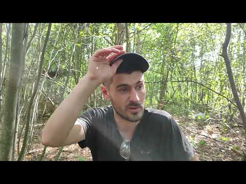 Видео: #1 Купил заброшенный участок для будущего дома/ НАЧАЛО работы положено/ День первый/ 2022