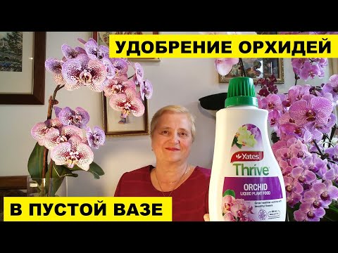 Видео: УДОБРЕНИЕ ОРХИДЕЙ В ПУСТОЙ ВАЗЕ..КАК И КОГДА