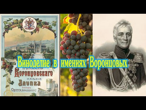 Видео: Виноделие в имениях Воронцовых