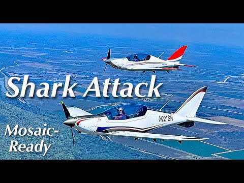 Видео: Shark, лёгкий спортивный самолёт, готовый к использованию в Mosaic — ноябрь 2024 г.