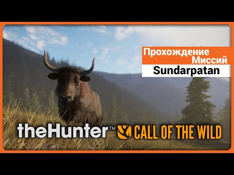 Видео: Прохождение Миссий заказника Sundarpatan - theHunter: Call of the Wild