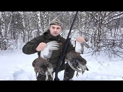 Видео: СЛАБОНЕРВНЫМ ЛУЧШЕ НЕ СМОТРЕТЬ. ОХОТА НА ТЕТЕРЕВА С ЛУНОК. НАХОЖУ СТАЮ В СНЕГУ. ОХОТА С РУЖЬЕМ.