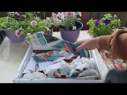 Видео: Хосты распаковка/2 я посылка в этом году🤩