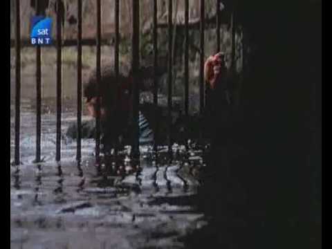 Видео: Вчера 1988 Yesterday