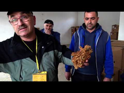 Видео: Свето Митрани-село во крушевака околија  втор дел