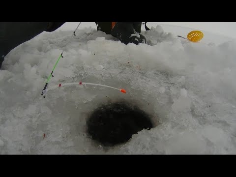 Видео: Боковой кивок в глухозимье без рыбы не оставит. Ловля плотвы