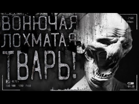 Видео: Страшные истории на ночь - Вонючая,лохматая тварь! Страшилки на ночь,мистика.