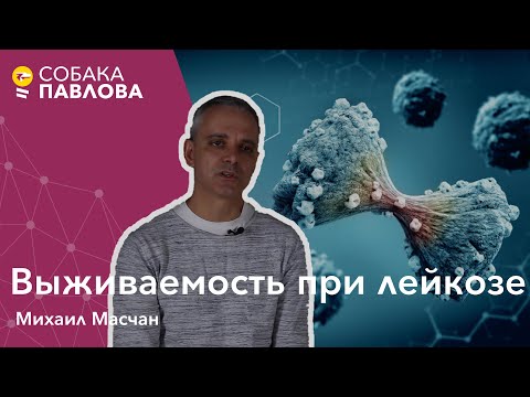 Видео: Выживаемость при лейкозе - Михаил Масчан//острый лейкоз, таргетная терапия, сопроводительная терапия