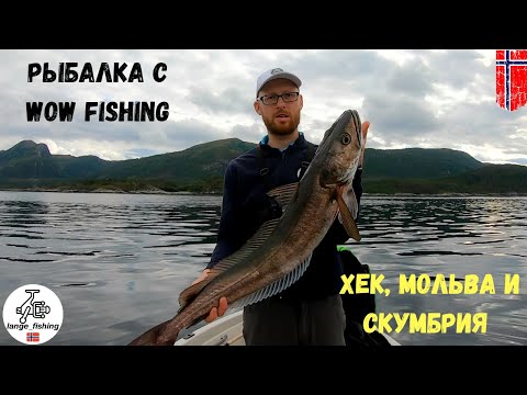 Видео: В гостях у WOW fishing. СУПЕР РЫБАЛКА! Первый ХЕК в жизни и ЛОВЛЯ КРУПНОЙ МОЛЬВЫ! Норвегия. Рыбалка.