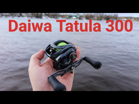 Видео: Daiwa Tatula 300 катушка для биг бейтов