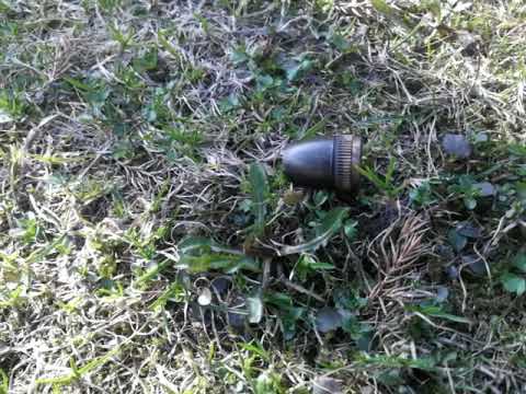 Видео: Тест небольшой металлоискателя MD 830 на золото и бронзу.