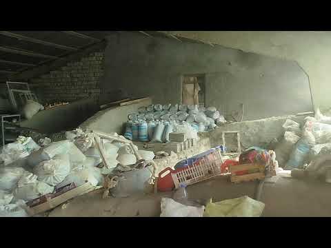 Видео: 9 октября 2025 г.