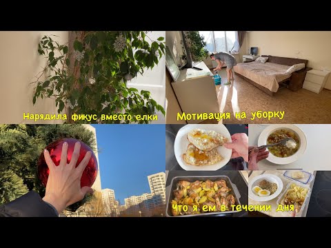 Видео: Экономное меню. Нарядила фикус вместо елки😂. Мотивация на уборку.