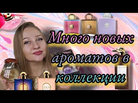 Видео: Парфюмерные покупки!Новые ароматы в коллекции!Ниша,Люкс,Снятости💜