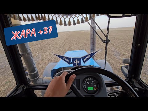 Видео: ТРАКТОР МТЗ 1221. ПОСЕВНАЯ ПШЕНИЦЫ. ЖАРА 37 ГРАДУСОВ.