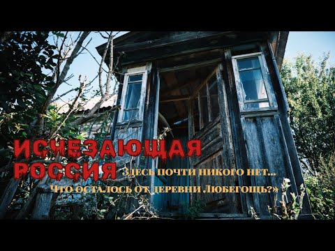 Видео: Почему вымирают русские деревни? Любегощь - деревня, где осталась одна бабушка | Брянская область