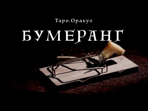 Видео: Таро. Оракул. Бумеранг. Мышеловка закрылась.