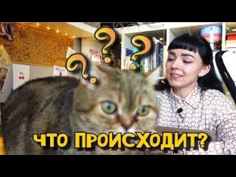 Видео: Большая распаковка арт материалов