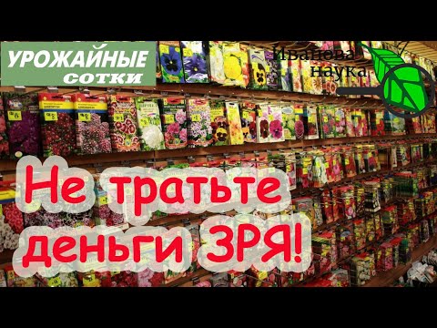 Видео: СУЩЕСТВУЕТ ЛИ СРОК ГОДНОСТИ У СЕМЯН? СТОИТ ЛИ, КАК И КАК ДОЛГО МОЖНО ХРАНИТЬ СЕМЕНА?