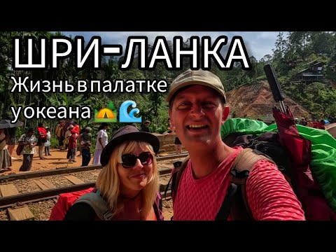 Видео: Мы сбежали от цивилизации! Жизнь на пляжах Шри-Ланки — слоны, волны и черепахи