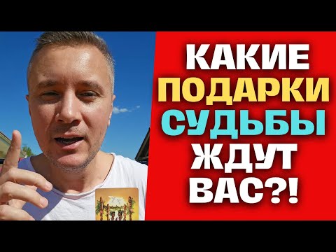 Видео: ЧТО ХОРОШЕЕ ПО СУДЬБЕ ПОРАДУЕТ ВАС СО ДНЯ НА ДЕНЬ! ✨ Таро Прогноз