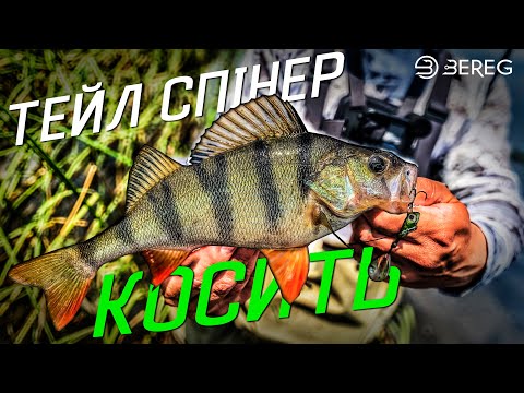 Видео: Тейл Спінер Косить ОКУНІВ та ЩУК. Ловля Хижака влітку на спінінг.