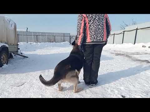 Видео: Правильная посадка при подзыве. ( дополнение к предидущему видео)