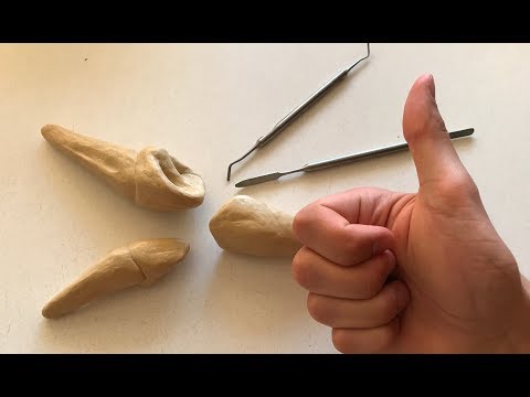 Видео: КЛЫКИ | ПРАКТИКА | МОДЕЛИРОВАНИЕ ЗУБОВ | ЧАСТЬ 5