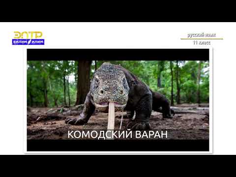 Видео: 11-класс  | Русский язык | Стилистические возможности ССП (Кто, если не мы...)