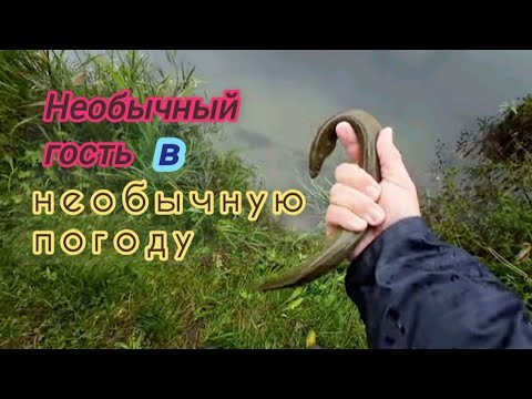 Видео: Непростая река Силе
