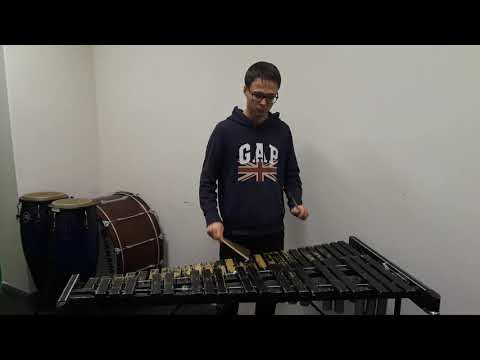 Видео: Как правильно играть гамму на ксилофоне