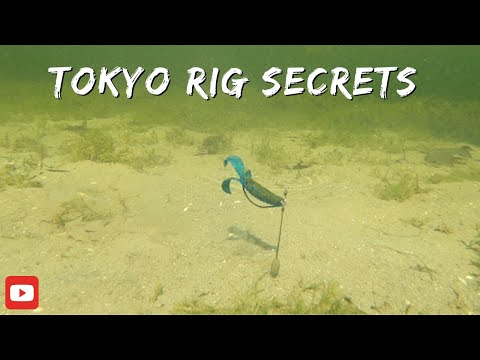 Видео: Ловля окуня на Tokyo Rig. Невероятные подводные кадры.
