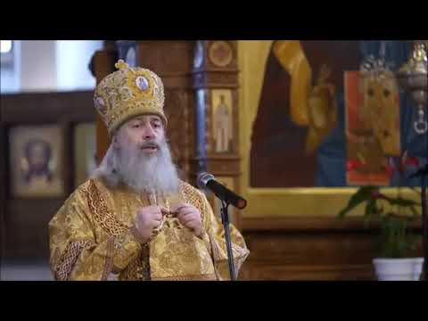 Видео: Митрополит Арсений Напоминает