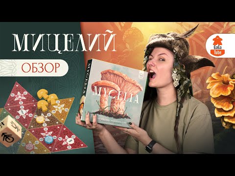 Видео: Вражда и Споры | Мицелий — Обзор настольной игры