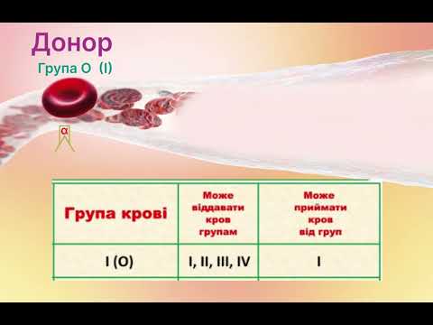 Видео: Перша група крові - універсальний донор