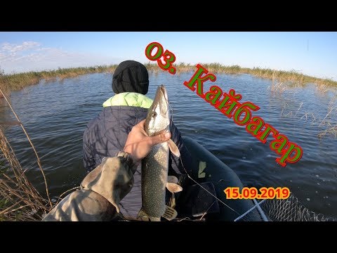 Видео: оз. Кайбагар, Карасуском районе Костанайской области
