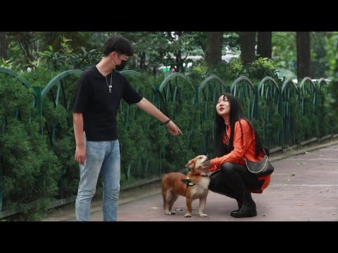 Видео: Увидев, как кто-то бросает щенков на улицу, что все будут делать?