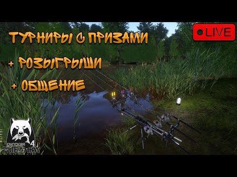 Видео: 🔴ПРЯМОЙ ЭФИР В РУССКАЯ РЫБАЛКА 4/ЛОВИМ ТРОФЕЕВ И ФАРМИМ СЕРЕБРО ОНЛАЙН 🎁