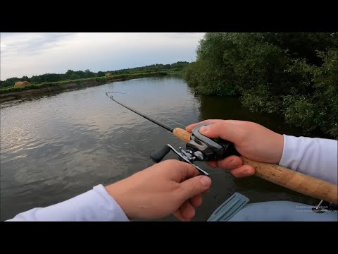 Видео: Щука раздает! Зачем столько ловить?