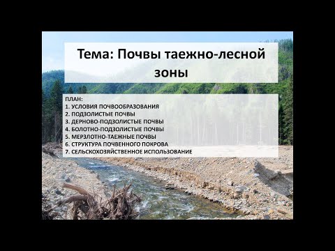 Видео: Видеолекция   Почвы таежно лесной зоны