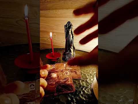 Видео: ЧТО О ВАС ШЕПЧУТ ЛЮДИ ИЗ ВАШЕГО ОКРУЖЕНИЯ ❓👤💯 #паламедея #palamedeya #koven 