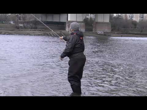 Видео: Головы короткие и длиные. Продолжение разговора.