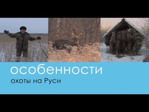 Видео: Зимняя охота на Лося, Кабана и Косулю, а так же рецепт приготовление Губы! - Беляков Хантинг