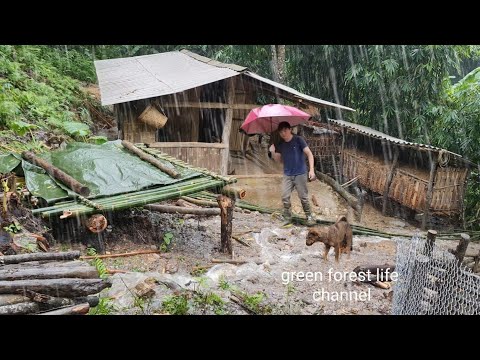 Видео: (Полная видеоподборка часть 4) 4 года жизни в одиночестве, строительство фермы. Роберт