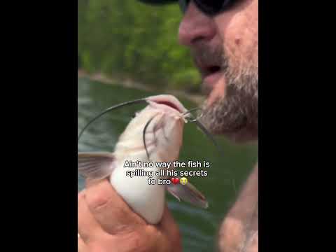 Видео: Говорящий сом😭 #рыбалка#сом#смешно#мемы#вирусный#шорты