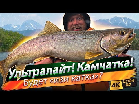 Видео: 🇷🇺 Ультралайт на Камчатке! Кайфуем по разнорыбице