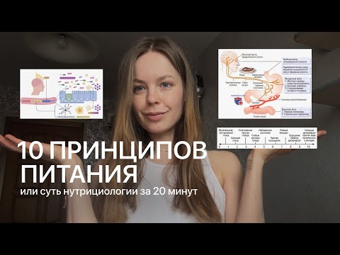 Видео: Нутрициология за 20 минут | 10 принципов правильного питания