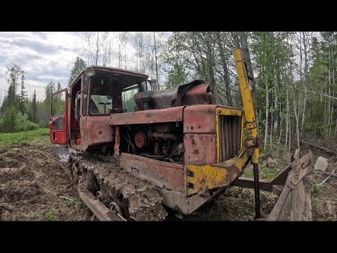 Видео: НАЧАЛИ ВСПАХИВАТЬ ПОЛЯ ПОД ОВЁС ТРАКТОРОМ ДТ-75